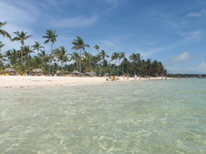 Naprosto klidná a mělká voda a na pobřeží palmové háje – to můžete očekávat od dovolené v Punta Cana.