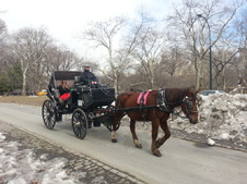 Projížďka v zimním Central Parku stojí za to.