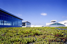 Rouge Factory má dnes největší střechu, posázenou rostlinami na Světě.