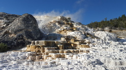 Mammoth Hot Springs